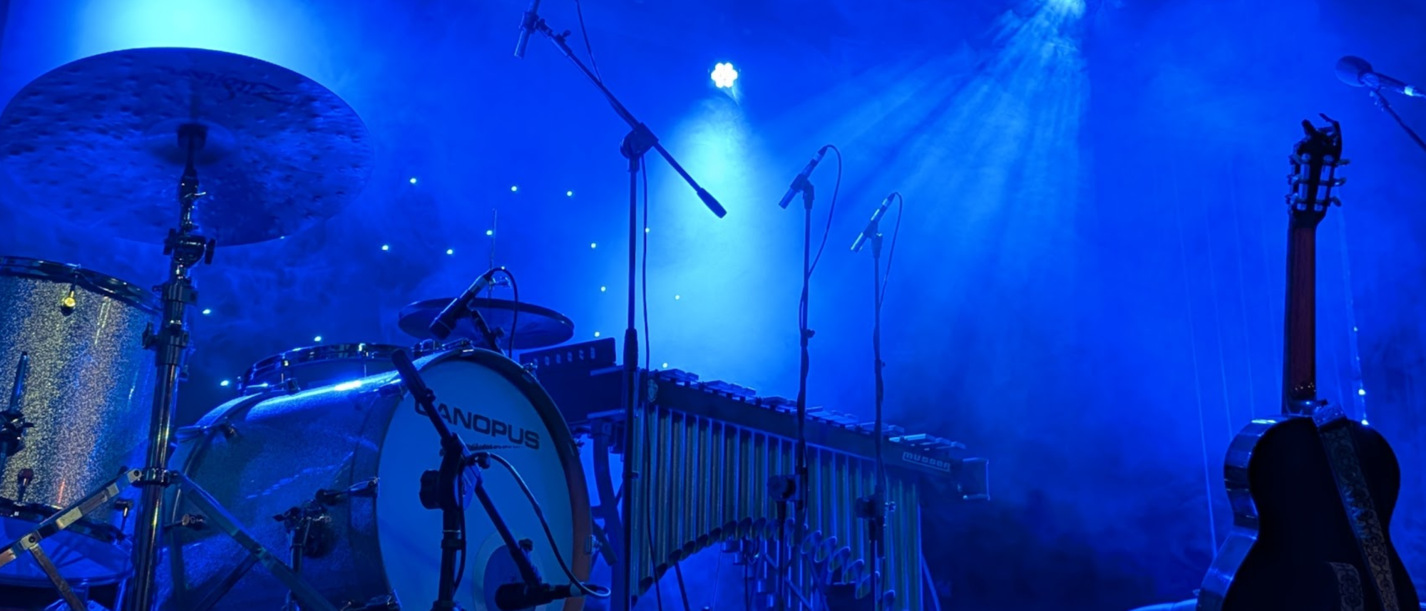 The Erlkings Concert